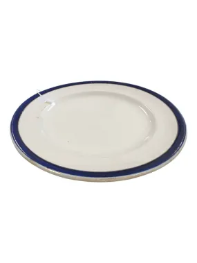 Alfred Meakin Bleu de Roi Ironstone Plate