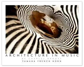 Yamaha 867d French Horn, Part 2. Poster.